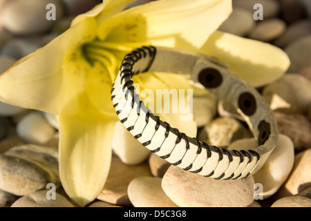 Bracelet fait main avec lis jaune sur les galets de la mer, la lumière naturelle du soleil Banque D'Images