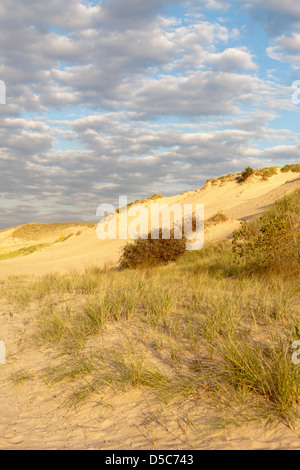 MOUNT BALDY DUNE Indiana Dunes National Lakeshore PORTER LE LAC MICHIGAN INDIANA USA Banque D'Images