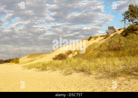 MOUNT BALDY DUNE Indiana Dunes National Lakeshore PORTER LE LAC MICHIGAN INDIANA USA Banque D'Images