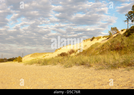 MOUNT BALDY DUNE Indiana Dunes National Lakeshore PORTER LE LAC MICHIGAN INDIANA USA Banque D'Images