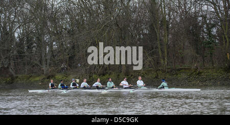 Londres, Royaume-Uni. 28 mars, 2013. . Tideway Semaine. Oxford & Cambridge bateaux sur la pratique en plein air sur la Tamise entre Putney et Mortlake dans London UK, menant à la course de bateaux des universités 2013 qui aura lieu le dimanche 31 mars 2013. Cambridge Bleu Bateau :- Bow : Grant Wilson, 2 : Milan Bruncvik, 3 : Alex Fleming, 4 : Ty Otto, 5 : George Nash, 6 : Steve Dudek, 7 : Alexander Scharp, Course : Niles Garratt, Cox : Henry Fieldman. Banque D'Images