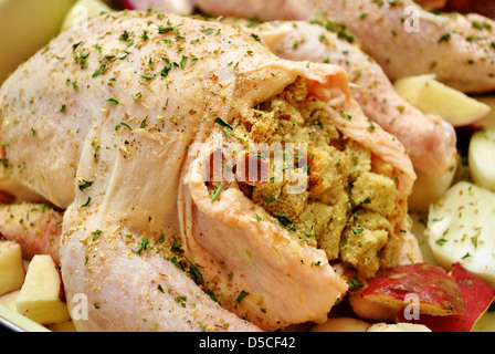 Vinaigrette Dans un pain farci poulet cru Banque D'Images