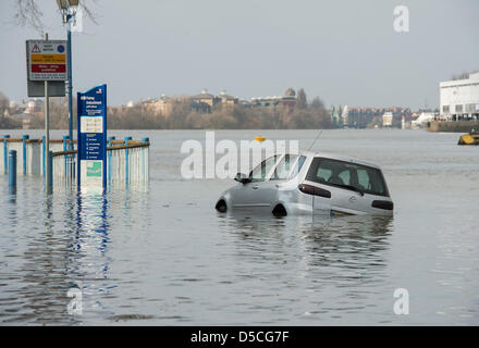 28.03.2013. Tideway Semaine. Oxford & Cambridge bateaux sur la pratique en plein air sur la Tamise entre Putney et Mortlake dans London UK, menant à la course de bateaux des universités 2013 qui aura lieu le dimanche 31 mars 2013. Un graphique nous rappelle que la course de bateau a lieu pendant les grandes marées ! Un conducteur s'irréfléchie prise en défaut. Banque D'Images