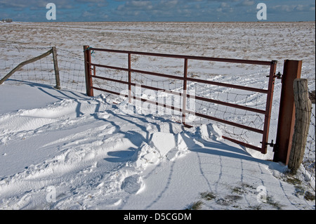 Neige sur collines du Sussex, UK Banque D'Images