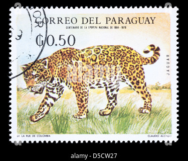 Timbre du Paraguay représentant un jaguar Banque D'Images