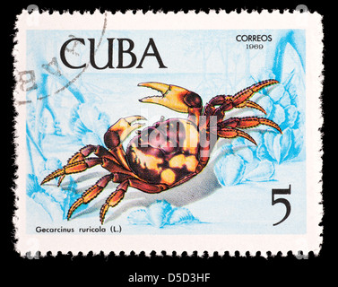 Timbre-poste de Cuba représentant un crabe terre pourpre (Gecarcinus ruricola) Banque D'Images