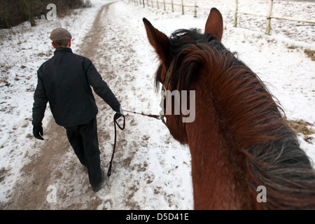 Koenigs Wusterhausen, l'Allemagne, l'homme mène un cheval Banque D'Images