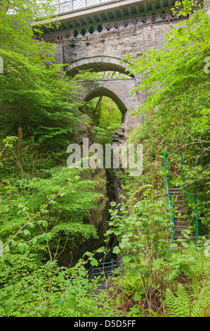 Pays de Galles, Pont du Diable Falls Banque D'Images