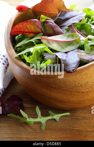 Salade de roquette (mix, iceberg, betterave rouge) dans un bol Banque D'Images