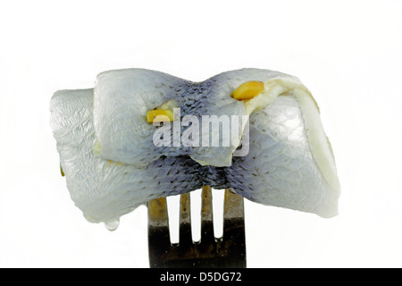 Filet de hareng Bismark Rollmops Banque D'Images