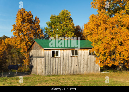 Ancienne grange avec toit vert, entouré de feuillage de l'automne et un poney Banque D'Images