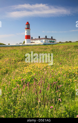 Près de phare Souter Marsden le Tyneside, capturé à la fin de juin Banque D'Images