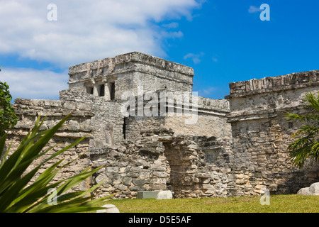 Les ruines de Tulum, l'État de Quintana Roo, Mexique Banque D'Images