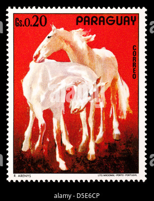 Timbre-poste représentant du Paraguay chevaux blancs. Banque D'Images