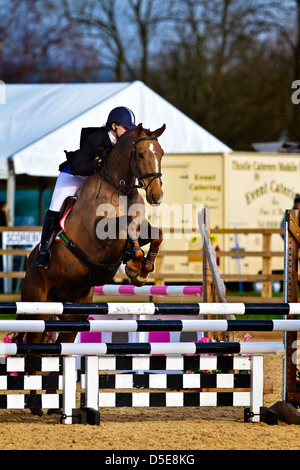 Saut à cheval une clôture dans un événement de cross country dans cheshire uk Banque D'Images