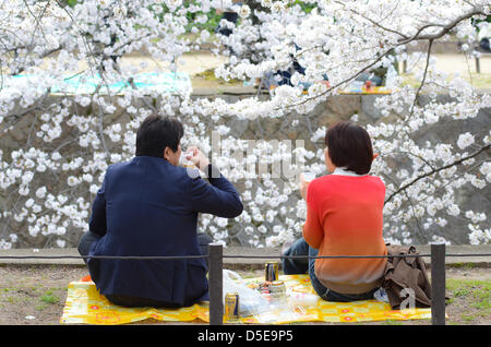 Kobe, Japon. 30 mars 2013 - Les familles et amis se rassemblent le long d'une rivière à Shukugawa près de Kobe, samedi, pour célébrer la venue du printemps. Image Crédit : Trevor Mogg / Alamy Live News Banque D'Images