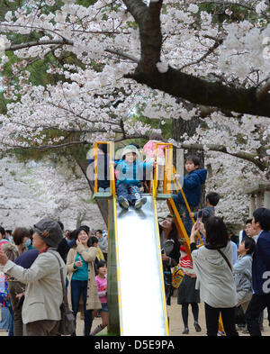 Kobe, Japon. 30 mars 2013 - Les familles et amis se rassemblent le long d'une rivière à Shukugawa près de Kobe, samedi, pour célébrer la venue du printemps. Image Crédit : Trevor Mogg / Alamy Live News Banque D'Images