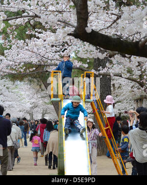 Kobe, Japon. 30 mars 2013 - Les familles et amis se rassemblent le long d'une rivière à Shukugawa près de Kobe, samedi, pour célébrer la venue du printemps. Image Crédit : Trevor Mogg / Alamy Live News Banque D'Images