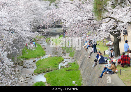 Kobe, Japon. 30 mars 2013 - Les familles et amis se rassemblent le long d'une rivière à Shukugawa près de Kobe, samedi, pour célébrer la venue du printemps. Image Crédit : Trevor Mogg / Alamy Live News Banque D'Images