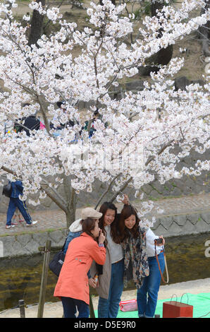 Kobe, Japon. 30 mars 2013 - Les familles et amis se rassemblent le long d'une rivière à Shukugawa près de Kobe, samedi, pour célébrer la venue du printemps. Image Crédit : Trevor Mogg / Alamy Live News Banque D'Images