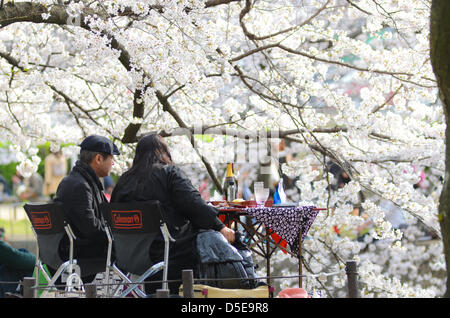 Kobe, Japon. 30 mars 2013 - Les familles et amis se rassemblent le long d'une rivière à Shukugawa près de Kobe, samedi, pour célébrer la venue du printemps. Image Crédit : Trevor Mogg / Alamy Live News Banque D'Images