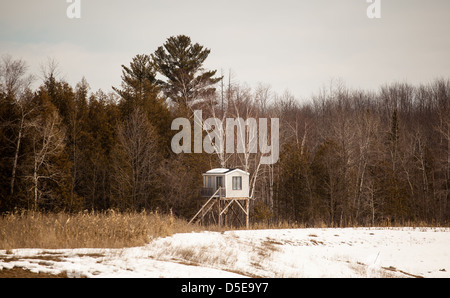 Wisconsin deer hunting tower aveugle. Banque D'Images