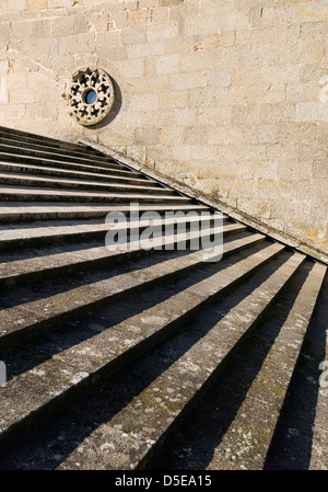 Rosette peu dans un pavillon. La photo est prise dans une journée ensoleillée, Banque D'Images