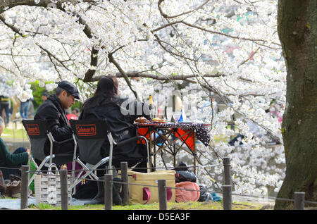 Kobe, Japon. 30 mars 2013 - Les familles et amis se rassemblent le long d'une rivière à Shukugawa près de Kobe, samedi, pour célébrer la venue du printemps. Image Crédit : Trevor Mogg / Alamy Live News Banque D'Images