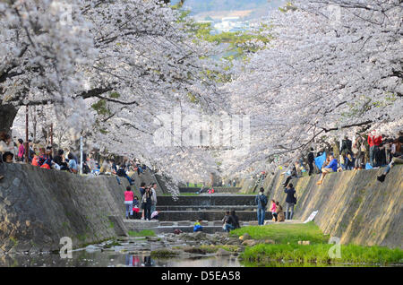 Kobe, Japon. 30 mars 2013 - Les familles et amis se rassemblent le long d'une rivière à Shukugawa près de Kobe, samedi, pour célébrer la venue du printemps. Image Crédit : Trevor Mogg / Alamy Live News Banque D'Images