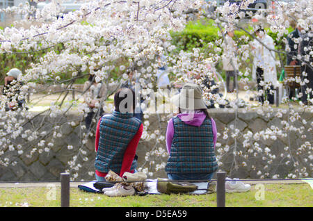 Kobe, Japon. 30 mars 2013 - Les familles et amis se rassemblent le long d'une rivière à Shukugawa près de Kobe, samedi, pour célébrer la venue du printemps. Image Crédit : Trevor Mogg / Alamy Live News Banque D'Images