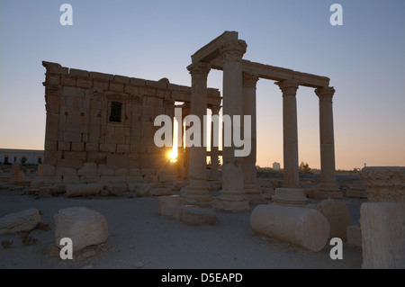 Lever du soleil sur les ruines de la ville antique de Palmyre, Syrie Banque D'Images