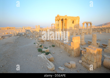 Lever du soleil sur les ruines de la ville antique de Palmyre, Syrie Banque D'Images