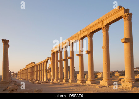 Lever du soleil sur les ruines de la ville antique de Palmyre, Syrie Banque D'Images