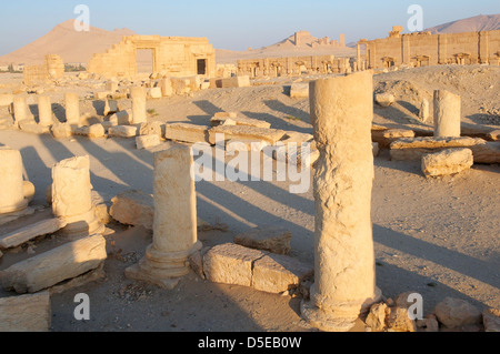 Lever du soleil sur les ruines de la ville antique de Palmyre, Syrie Banque D'Images