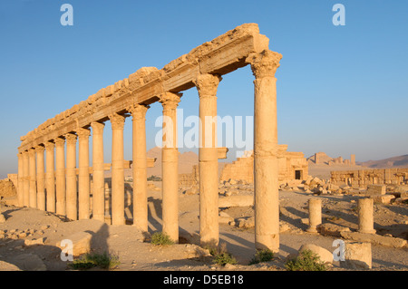 Lever du soleil sur les ruines de la ville antique de Palmyre, Syrie Banque D'Images