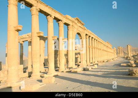 Lever du soleil sur les ruines de la ville antique de Palmyre, Syrie Banque D'Images