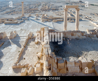 Panorama de la ville antique de Palmyre, Syrie Banque D'Images