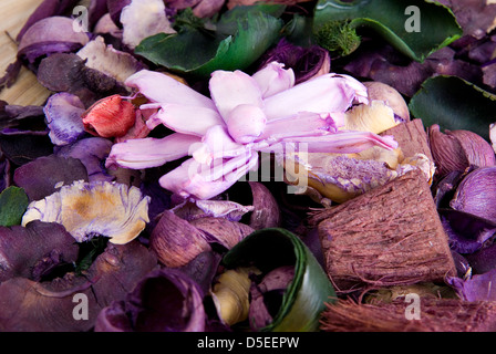 Close up of colorful flowers pot pourri Banque D'Images