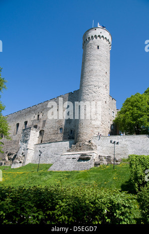 La tour Pikk Hermann, une partie de château de Toompea est joint au parlement estonien sur,Toompea Tallinn la vieille ville, Tallinn Estonie, Banque D'Images