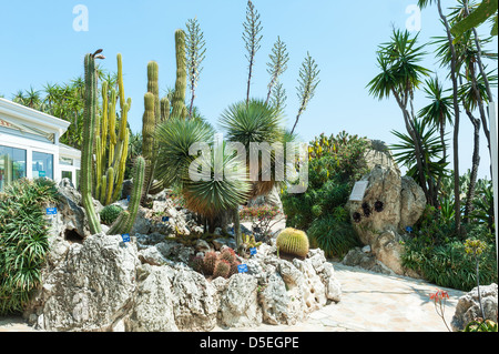 Jardin de cactus et succulentes à Monaco Banque D'Images