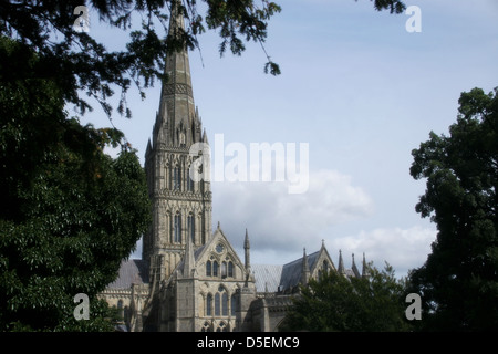 La cathédrale de Salisbury - vue de la cathédrale médiévale de la cathédrale à proximité d'arbres et skyline Banque D'Images