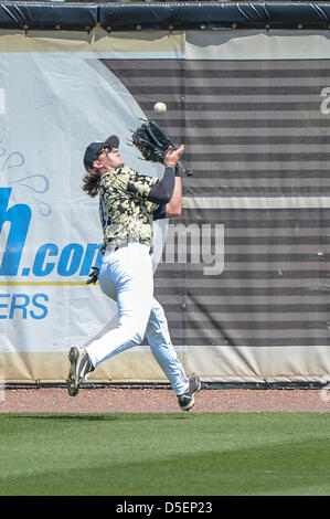 30 mars 2013 : le centre de la Floride lf Parker Webster (17) capture un ballon près de la piste d'avertissement au cours de C-USA NCAA Baseball jeu 3 action entre le Departement de l'Aigle royal et de l'UCF Knights. Departement UCF défait 4-3 au Jay Bergman Domaine d'Orlando, Floride Banque D'Images