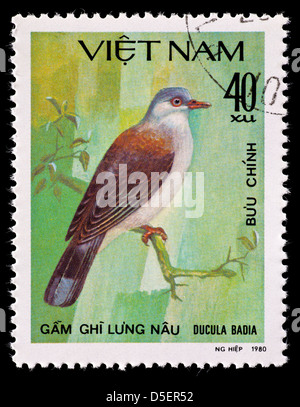 Timbre-poste du Vietnam représentant une montagne pigeon impérial (Ducula badia) Banque D'Images