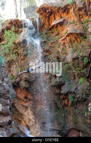 Homme plongée dans une piscine d'eau, Immouzer des Ida Outanane aka Imouzzer Ida ou Tanane cascades, Agadir, Maroc Banque D'Images