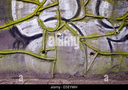 Vieux et grunge wall background et texture Banque D'Images