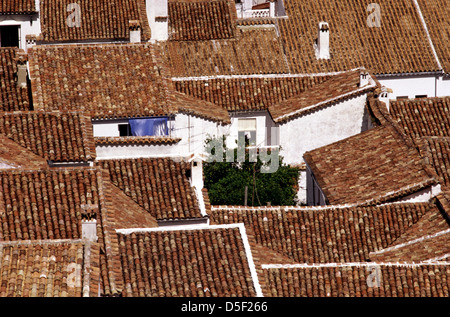 Village blanc typique avec des tuiles du fourreau dans la région des Pueblos Blancos Arcos de la Frontera en Andalousie communauté autonome dans le sud de l'Espagne Banque D'Images