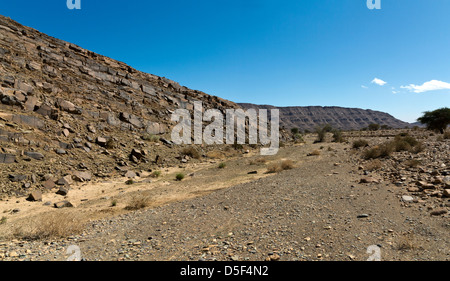 Wadi près de village de Ait Ouabelli où il y a un site d'art rupestre préhistorique, sur la route entre Akka et Icht au Maroc Banque D'Images