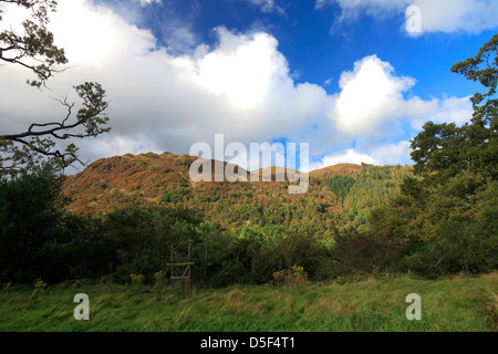 Lords siège sont tombés, Parc National de Lake district, comté de Cumbria, Angleterre, Royaume-Uni Banque D'Images