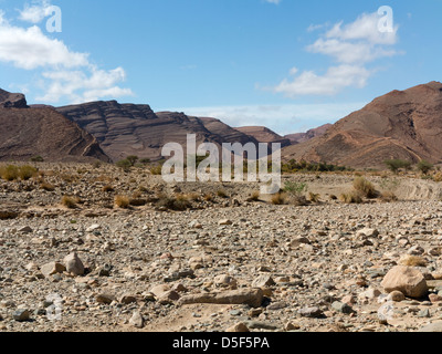 Wadi près de village de Ait Ouabelli où il y a un site d'art rupestre préhistorique, sur la route entre Akka et Icht au Maroc Banque D'Images