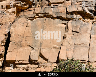 Wadi près de village de Ait Ouabelli où il y a un site d'art rupestre préhistorique, sur la route entre Akka et Icht au Maroc Banque D'Images